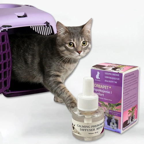 Calming Refill Reserves (48 ml) — for the Peaceful Home Diffuser